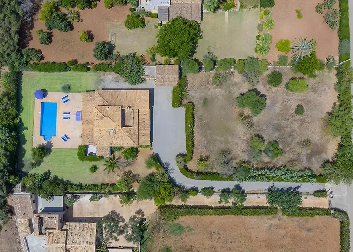 Orquidea Villa Pollensa