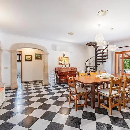 Orquidea Villa Pollença