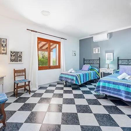 Orquidea * Pollença