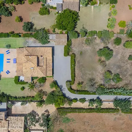 Orquidea Villa Pollença